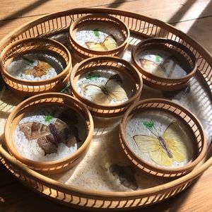 Vintage Butterfly tray with coasters